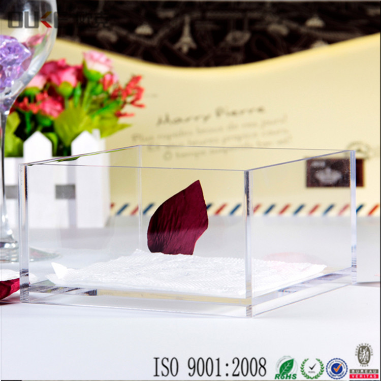 Clear Plexiglass Box.jpg