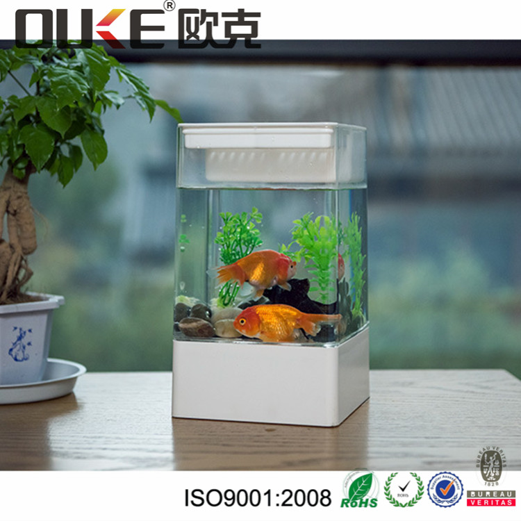 acrylic fish tank  .jpg