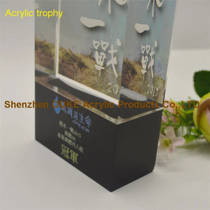 China Supplier Clear Luxury Acrylic Troph - Acrylic Plaque